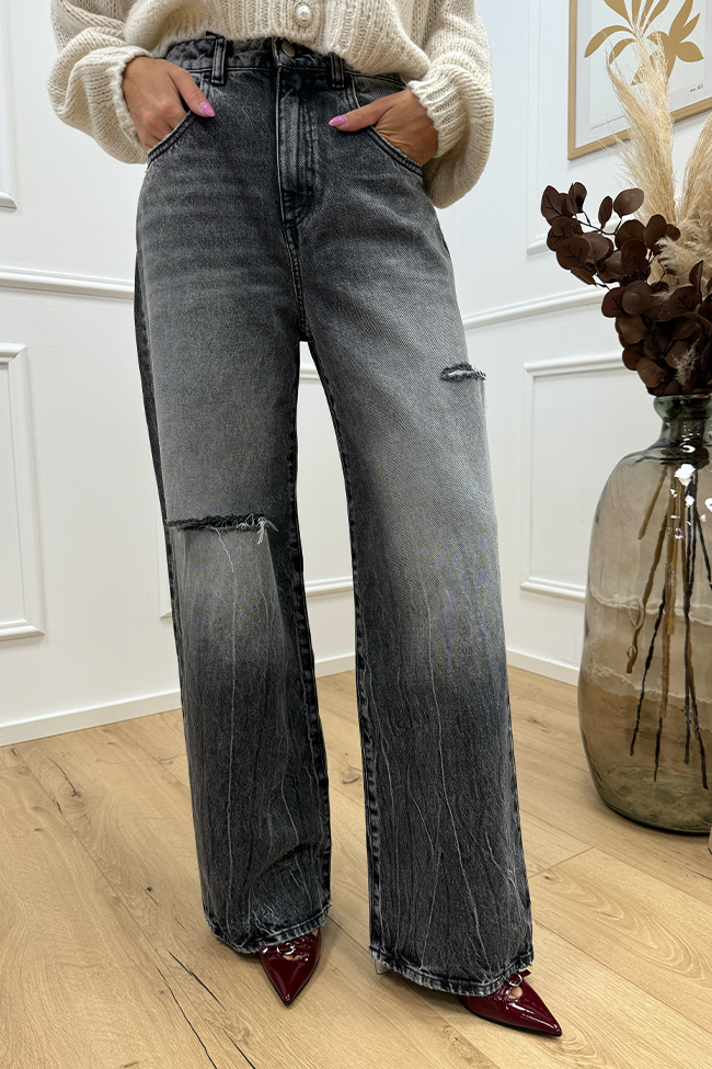 Icon Denim - Jeans Poppy grigio scuro con rotture