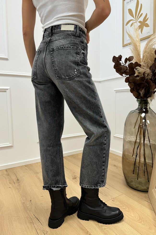 Icon Denim - Jeans Jill mom fit grigio scuro